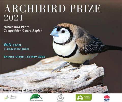Archibird Prize 2021