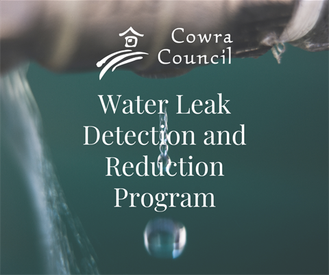 Water Leak Detection and Reduction Program.png