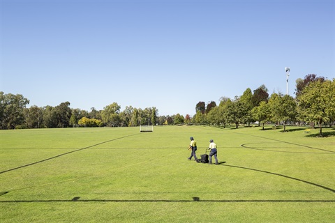 Photograph of Council staff walking across Edgell Park in Cowra