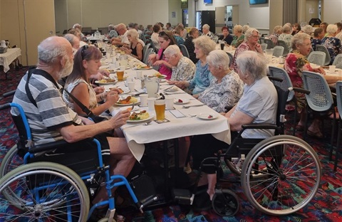 Seniors Festival MOW Annual Luncheon.jpg