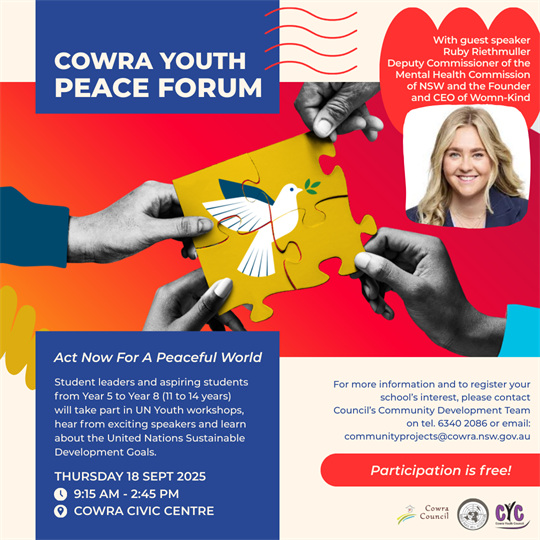Youth Peace Forum 2025 (1).png