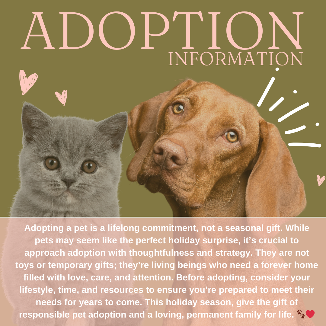 Pet Adoption In formation Image