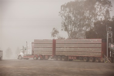 CSC-Saleyards-48.jpg