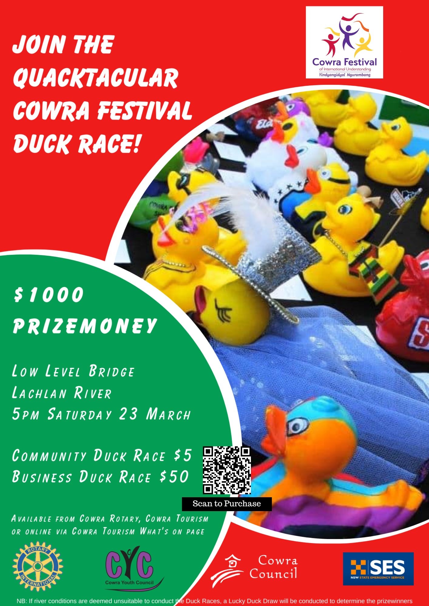 Duck Race.jpg