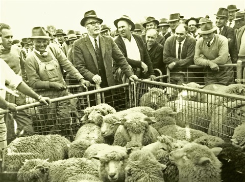 Saleyards 1.jpg
